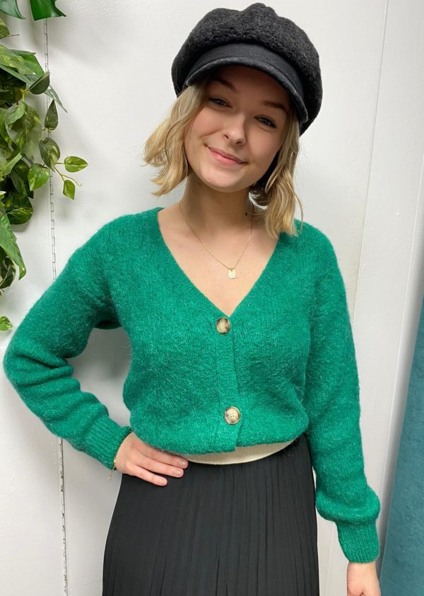 pull gilet pia vert marque YCOO