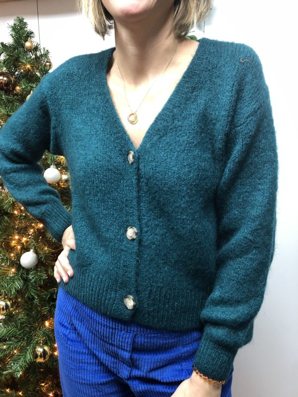 pull gilet bleu canard pia marque ycoo